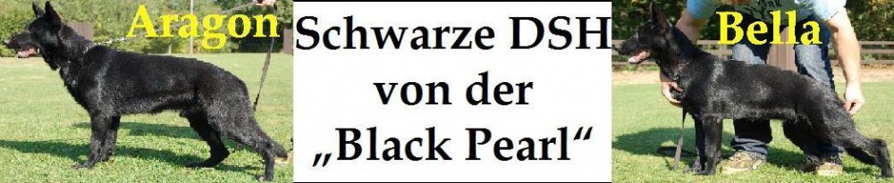 Deuscher Schäferhundzwinger von der Black Pearl